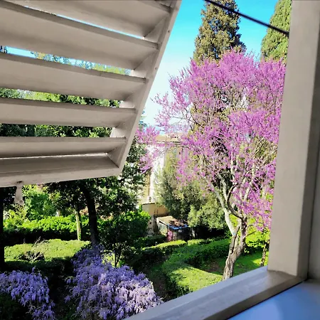 Villa Nardi - Residenza D'Epoca-3